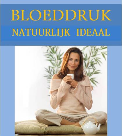 Bloeddruk Natuurlijk Normaal e-book van Joost van der Laan